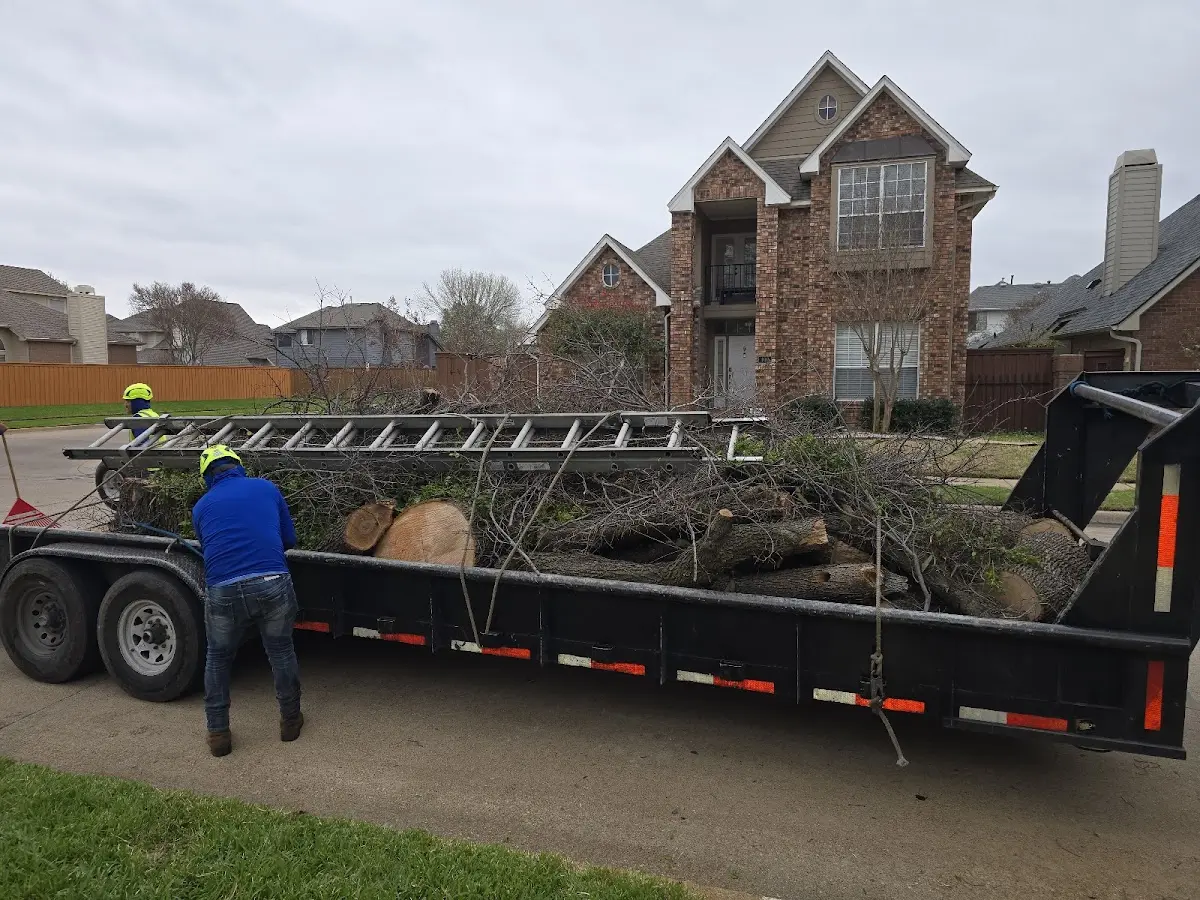 Expert Tree Removal with proper safety equipment in Mayfield